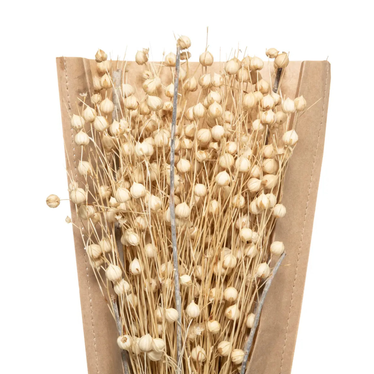 Bouquet fleurs séchées H45cm