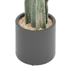 Cactus "Exotic Panama" H117cm vert