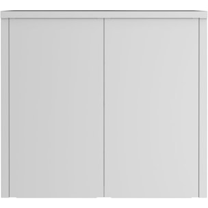 Armoire sécurisée SCL0891GRK