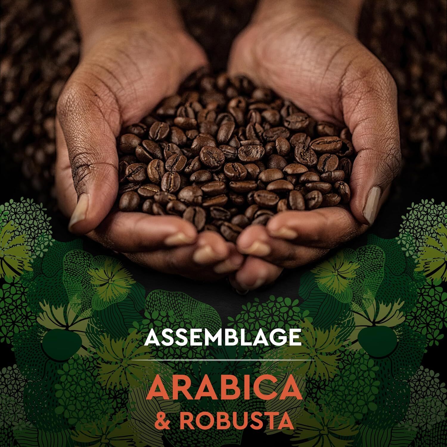 Café Grains Bio Intense - Pur Arabica Biologique. Paquet de 1 kg