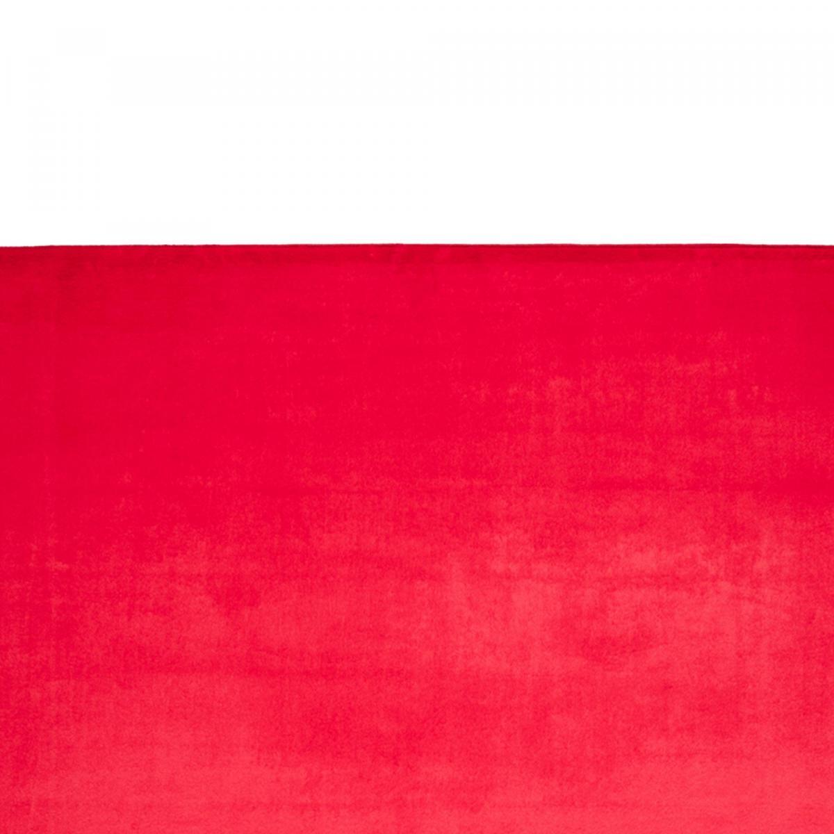 Tapis salon ultra doux, uni et lavable UNO, aussi idéal pour la chambre