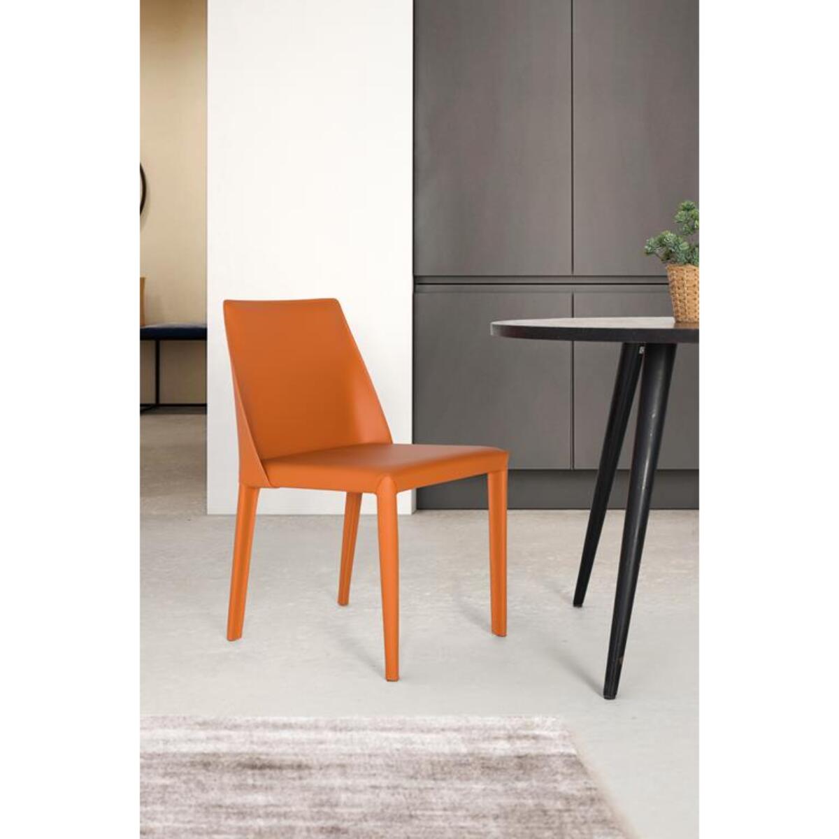 ENSEMBLE 2 CHAISES - 80x46x53