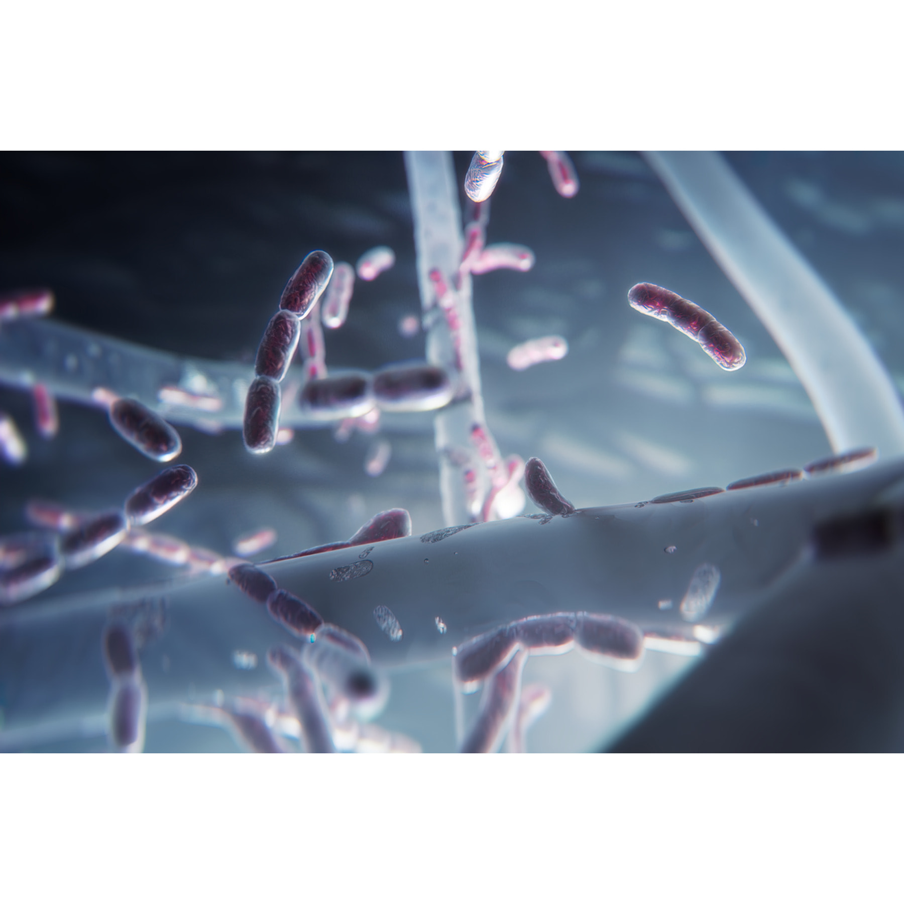 AEG Filtro de protección contra particulas ultrafinas, bacterías y virus para Multi 7000 AFWCLN5