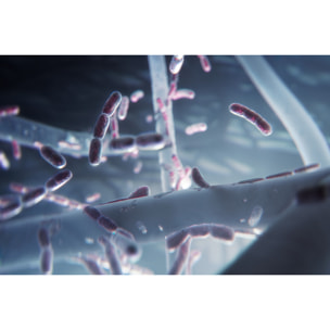 AEG Filtro de protección contra particulas ultrafinas, bacterías y virus para Multi 7000 AFWCLN5