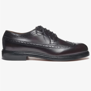 Scarpe allacciate Sebago Uomo Marrone Everett Gyw