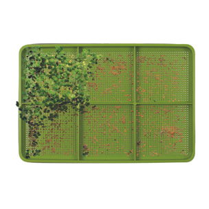 Germoir A Graines 20.5x5.5x30 Cm