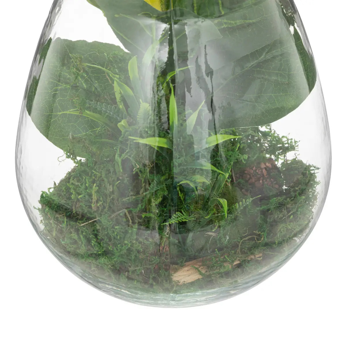 Terrarium "Bota" - verre - H29 - 5 cm