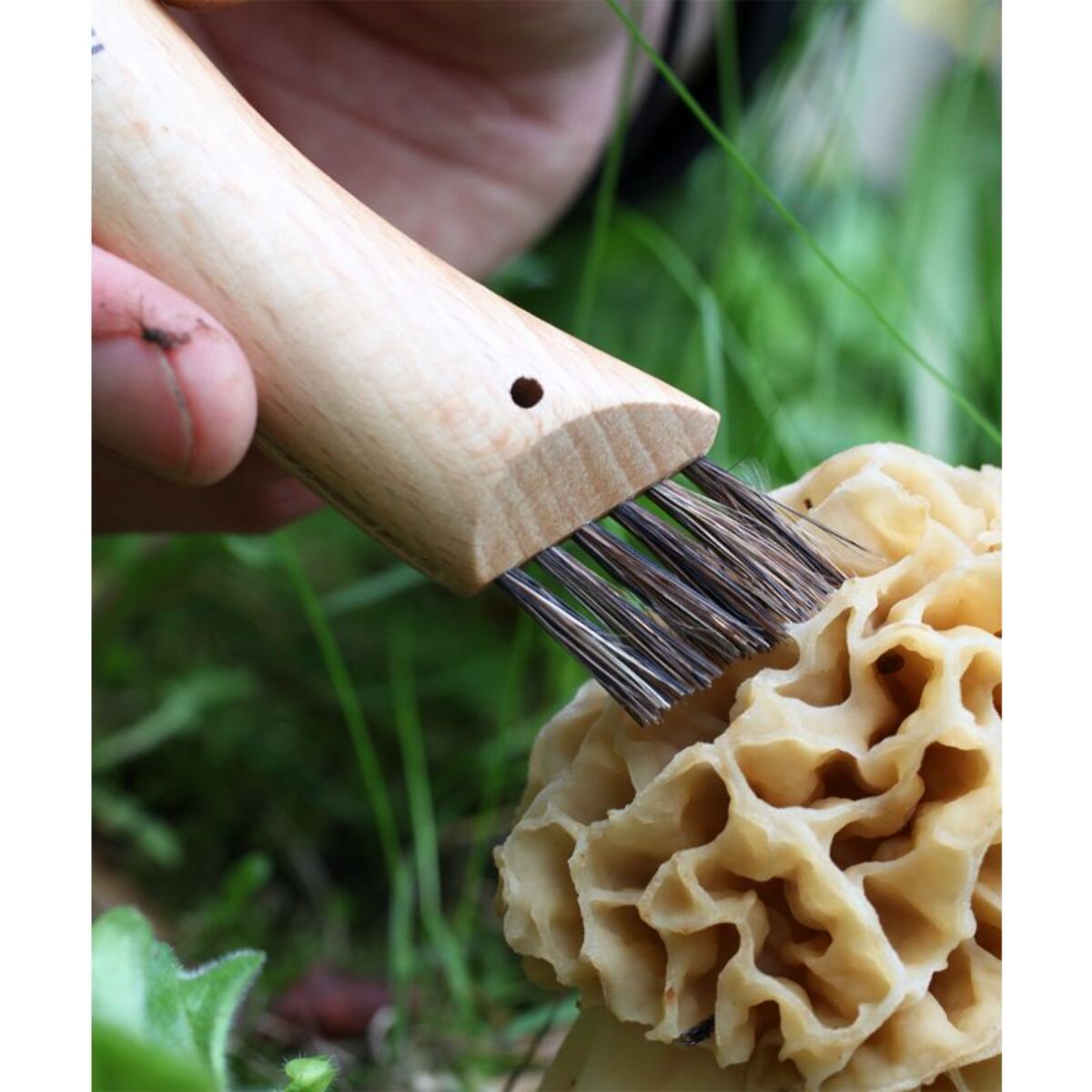 Couteau d'office OPINEL Cuisine Nomade champignon