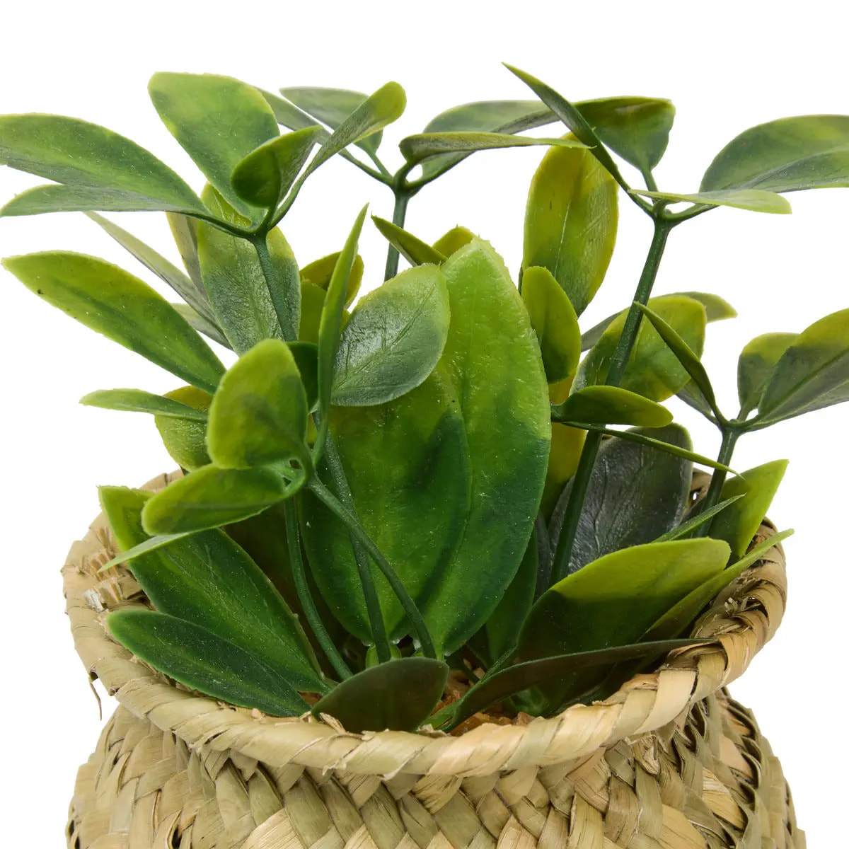 Plante artificielle en pot Jil 10x10cm