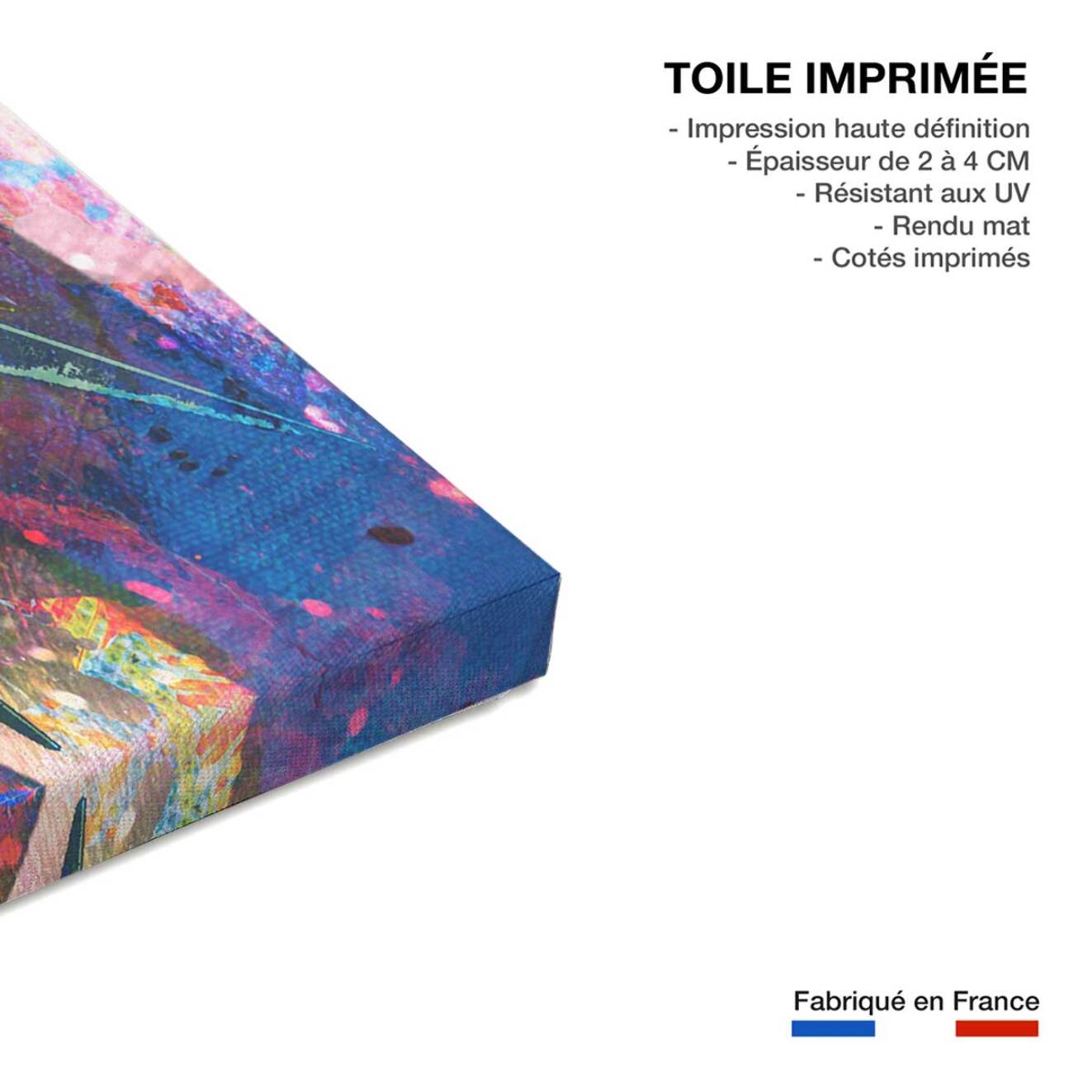 Tableau Affiche illustration graffiti statut de la liberté Toile imprimée