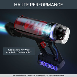 Aspirateur balai ROWENTA X Force Flex 9.60 Kit Animal RH2079WO