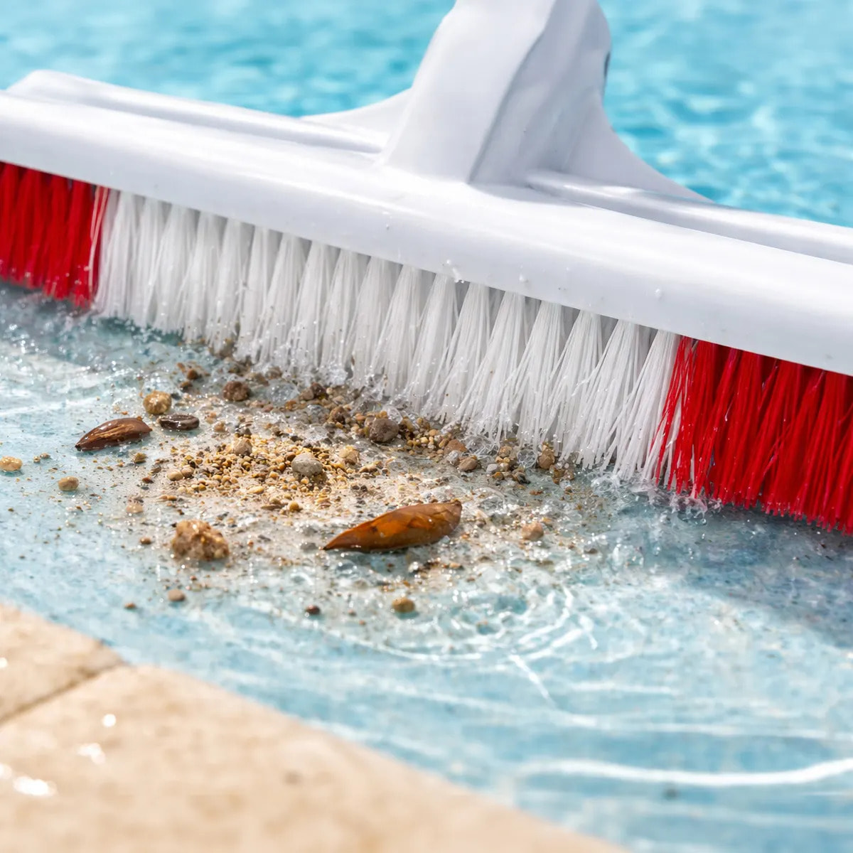 Brosse plastique pour murs et fond piscine 50 cm