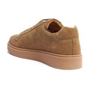 Sneaker British Passport Marrone