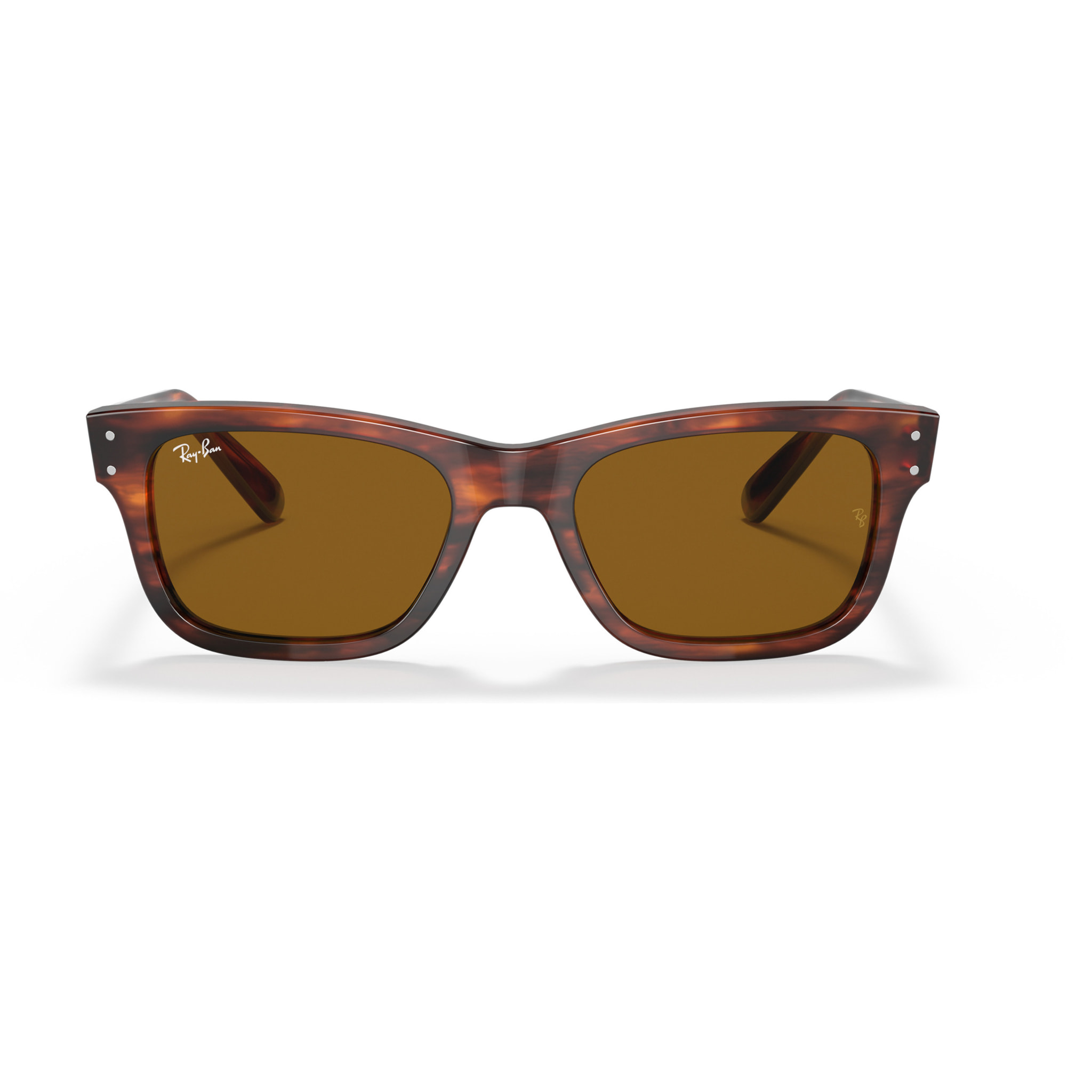 Ray Ban Gafas de sol para cada estilo de vida RB2283 Mr burbank