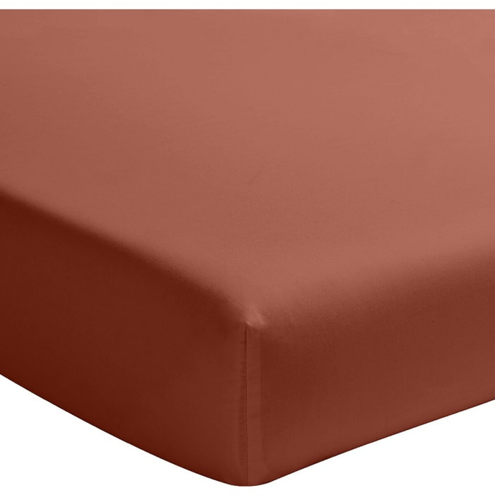 Drap housse percale de coton lavé terracotta 140x190 cm