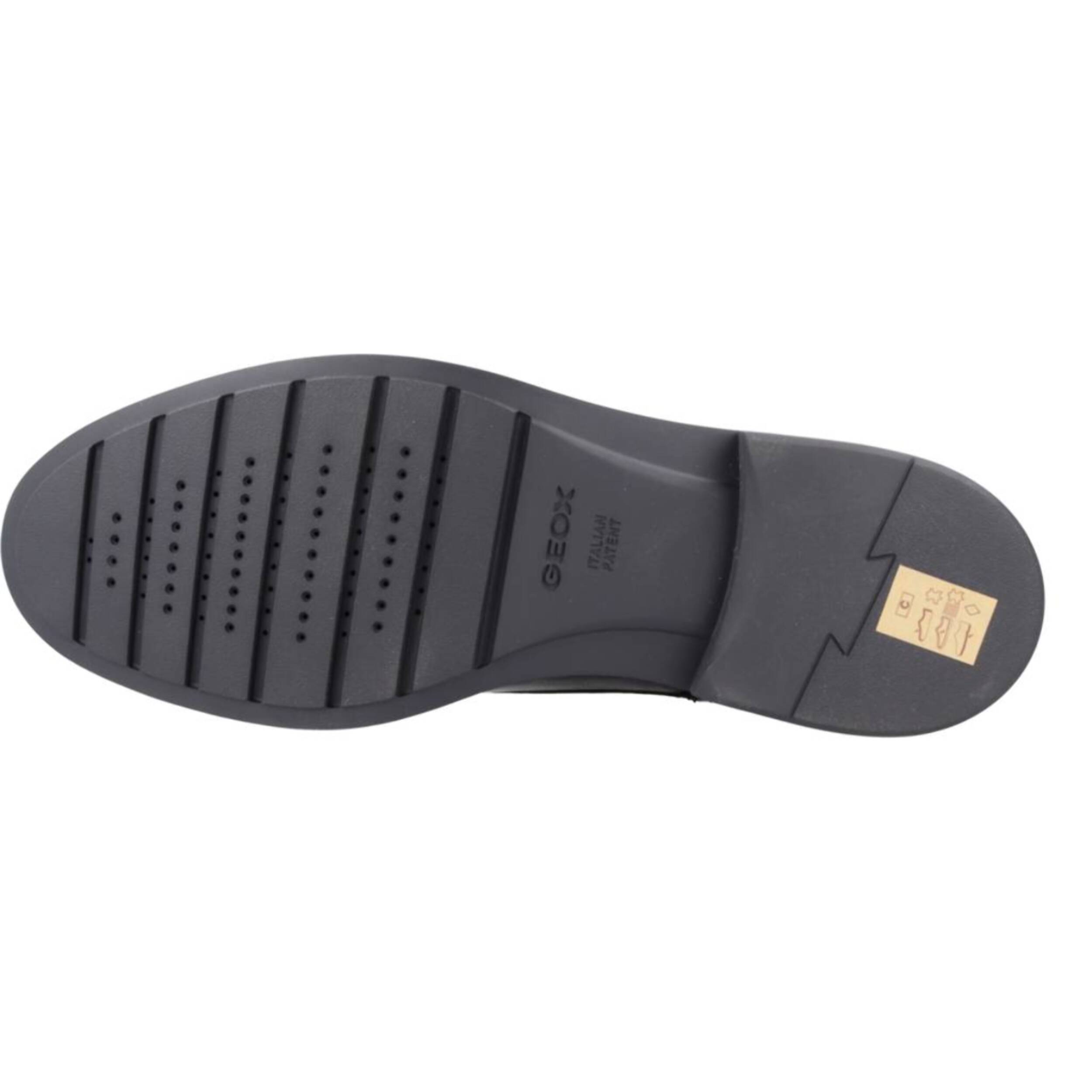 Zapatos Confort Hombre de la marca GEOX  modelo U APPIANO MARRON