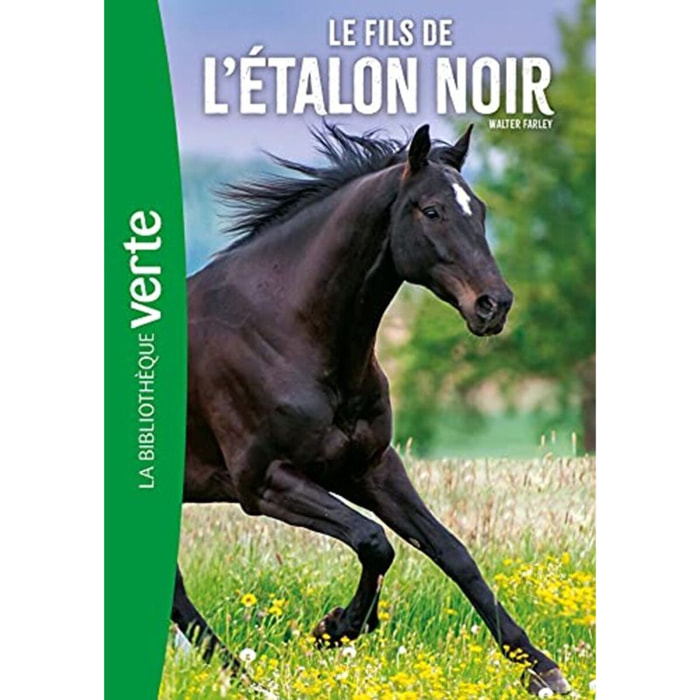 Farley, Walter | L'Etalon Noir 04 NED - Le Fils de l'Etalon Noir | Livre d'occasion