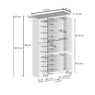 Scarpiera Apricena, Porta scarpe salvaspazio a 6 ante, Armadio multifunzione da ingresso, 114x42h200 cm, Bianco e Ardesia