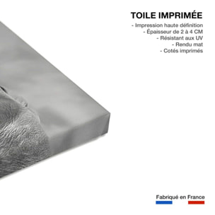 Tableau éléphant qui es tu? Toile imprimée