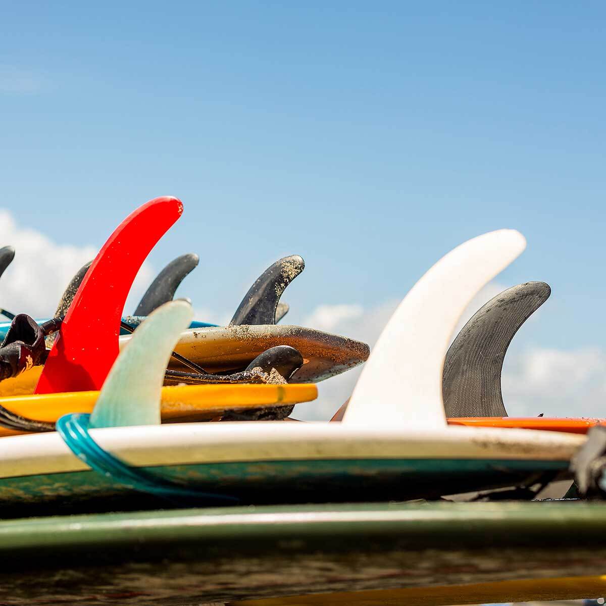 Affiche surf et derives Affiche + cadre en bois - Noir