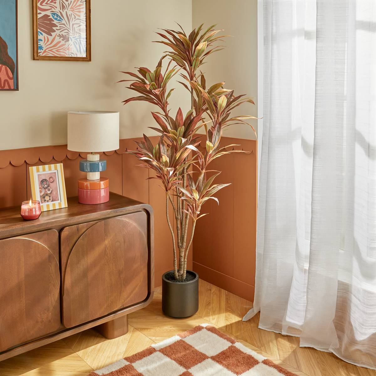 Dracena rouge Edi H.180cm avec pot
