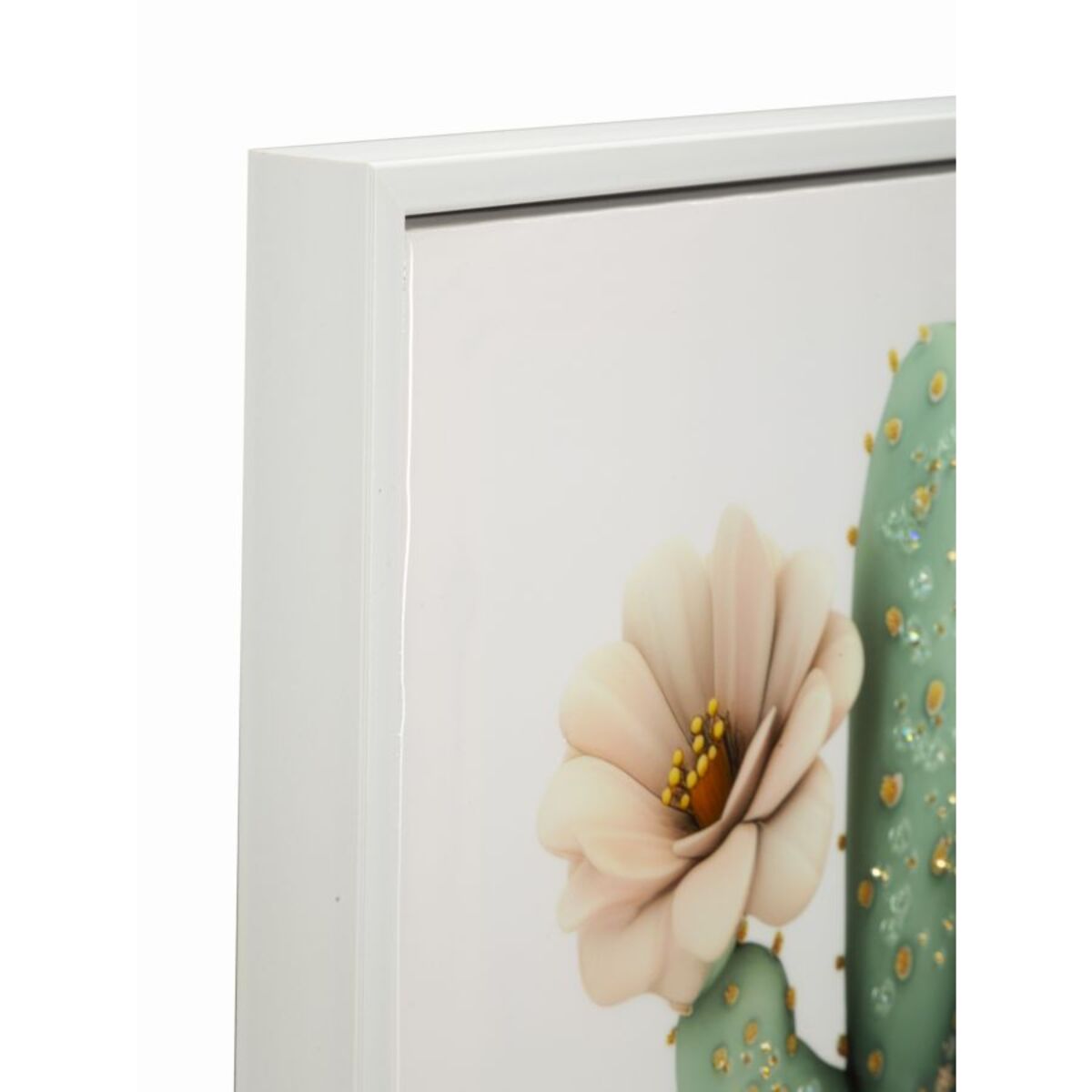 STAMPA SU TELA LACCATA C/CORNICE VASETTO CACTUS -D- CM 40X2,8X40