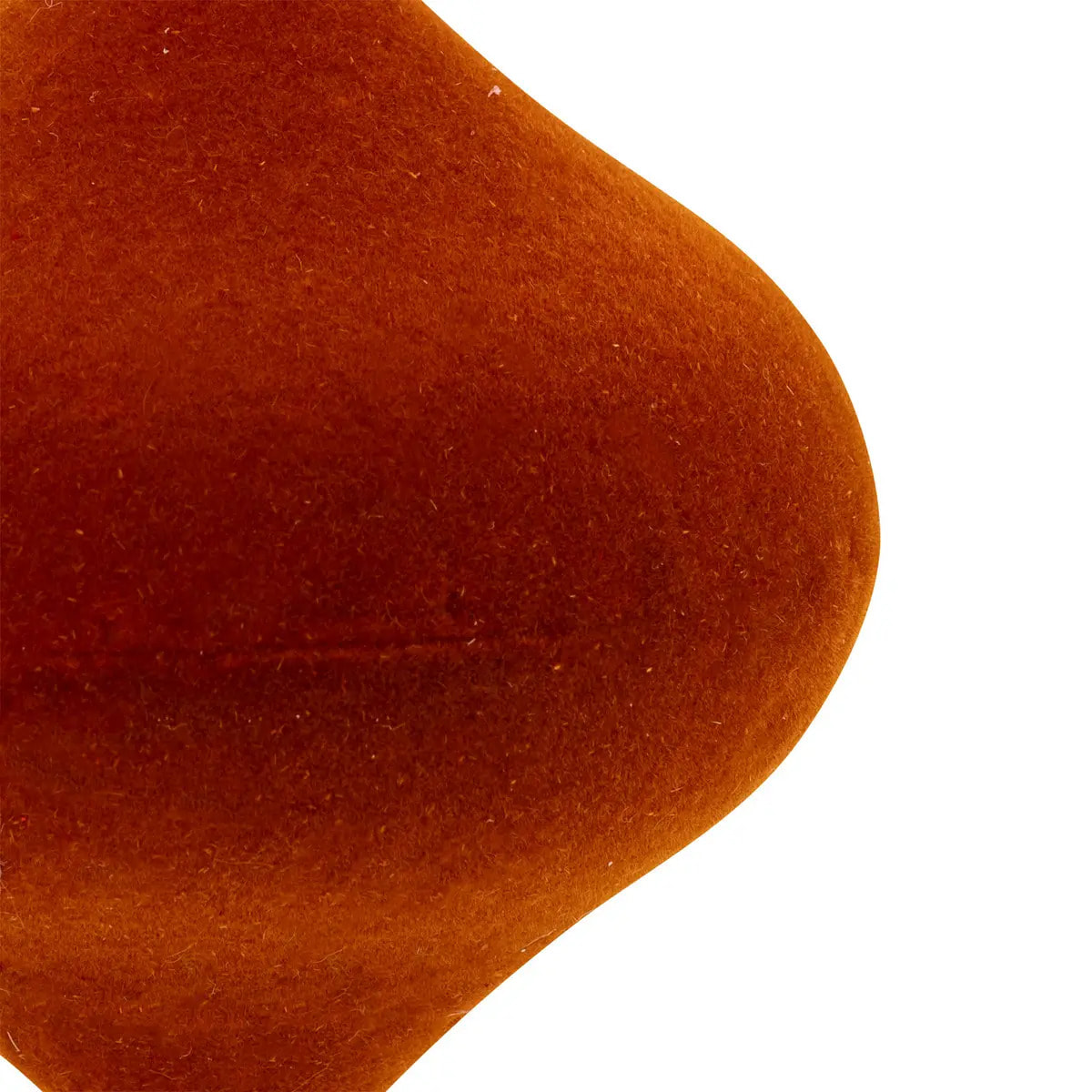 SDN PLF OIGNON VEL MARRON 8CM