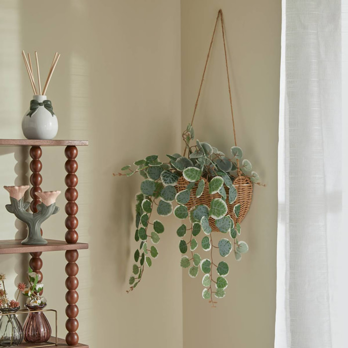 Plante suspendue Mona H.75cm vert