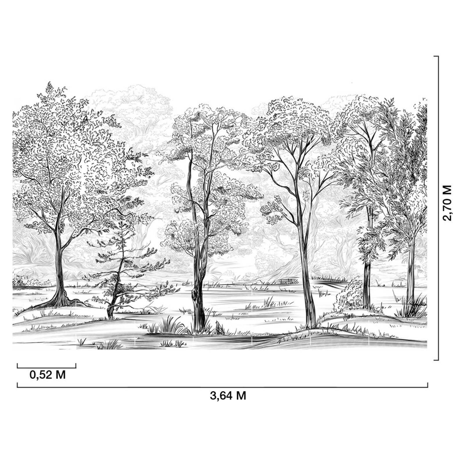 Papier peint panoramique foret Intissé