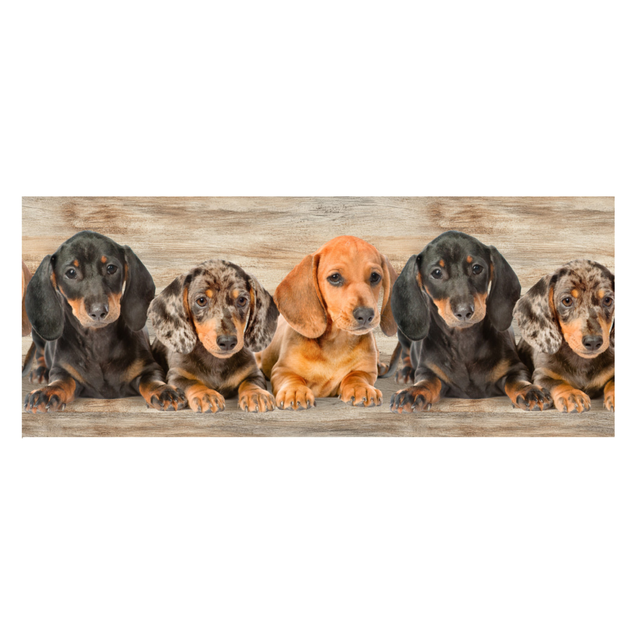 Tappeto Passatoia Corsia Cucina Ingresso Antimacchia Disegno Bassotti 2762