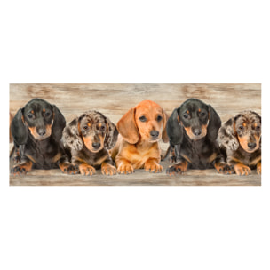 Tappeto Passatoia Corsia Cucina Ingresso Antimacchia Disegno Bassotti 2762