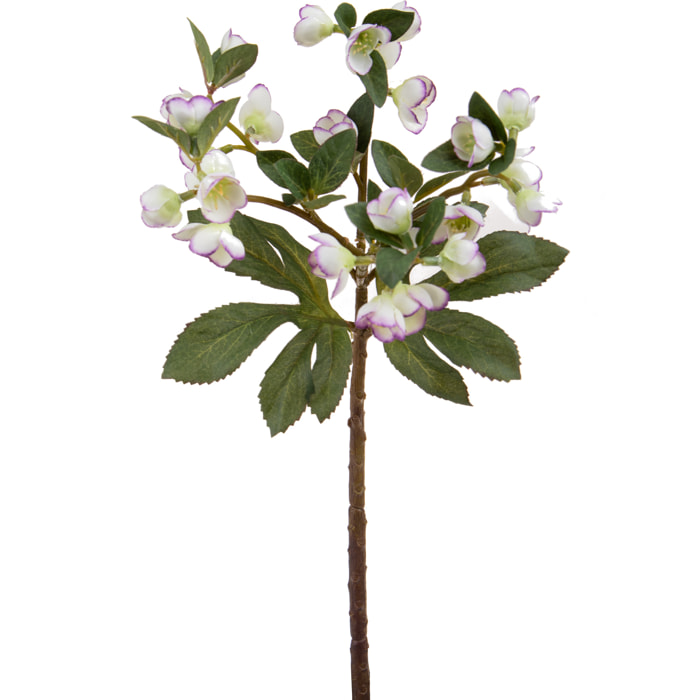 Ramo Di Helleborus. Altezza 42 Cm - Pezzi 6 - 8X42X7cm - Colore: Bianco - Bianchi Dino - Fiori Artificiali