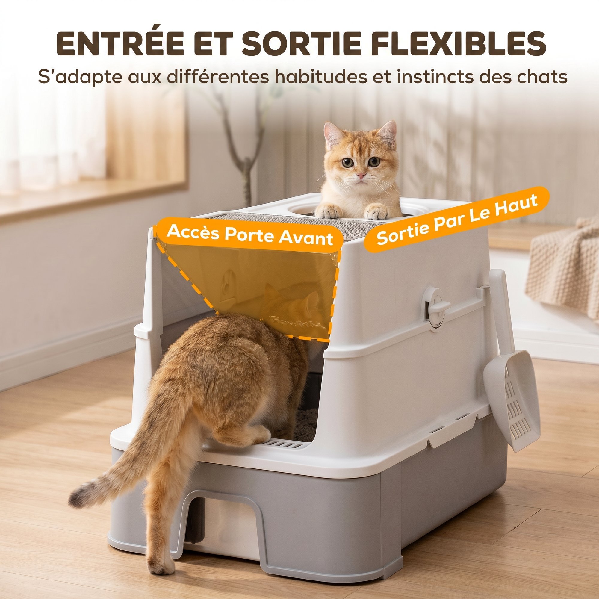 Maison de toilette fermée bac coulissant acier inox filtres désodorisants