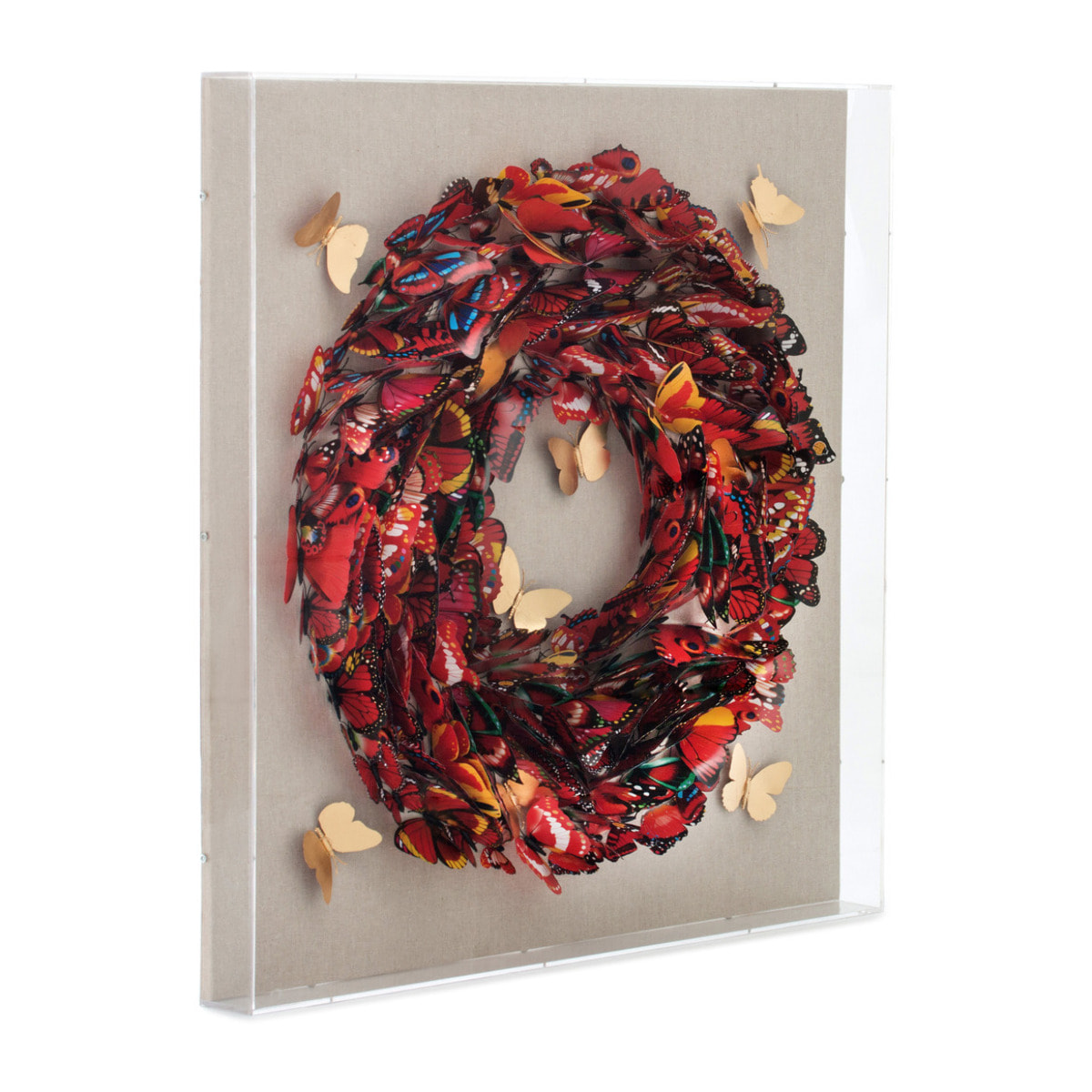 Quadro in carta farfalle 3D Schmetterling 80x80 cm Vikasa Home