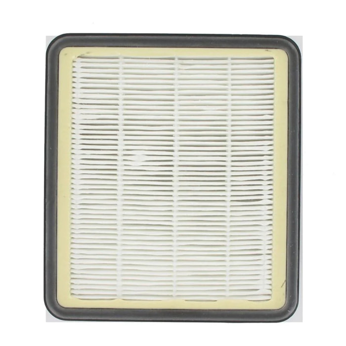 Filtre hepa pour aspirateur Hoover TopFilter