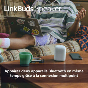 Enceinte portable SONY LINKBUDS Speaker Grise