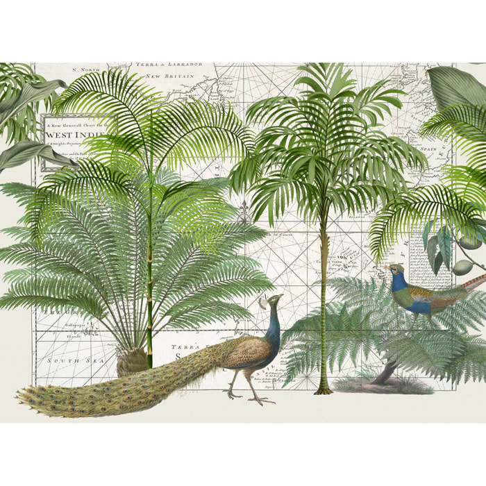 Papier peint panoramique Empire Tropical Intissé