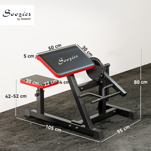 Máquina de Bíceps y Tríceps 2 en 1, Banco de Curl de Predicador con Asiento y Apoyo de Codo Ajustables, Máquina de Curl de Bíceps y Extensión de Tríceps para Entrenamiento en Gimnasio, Casa