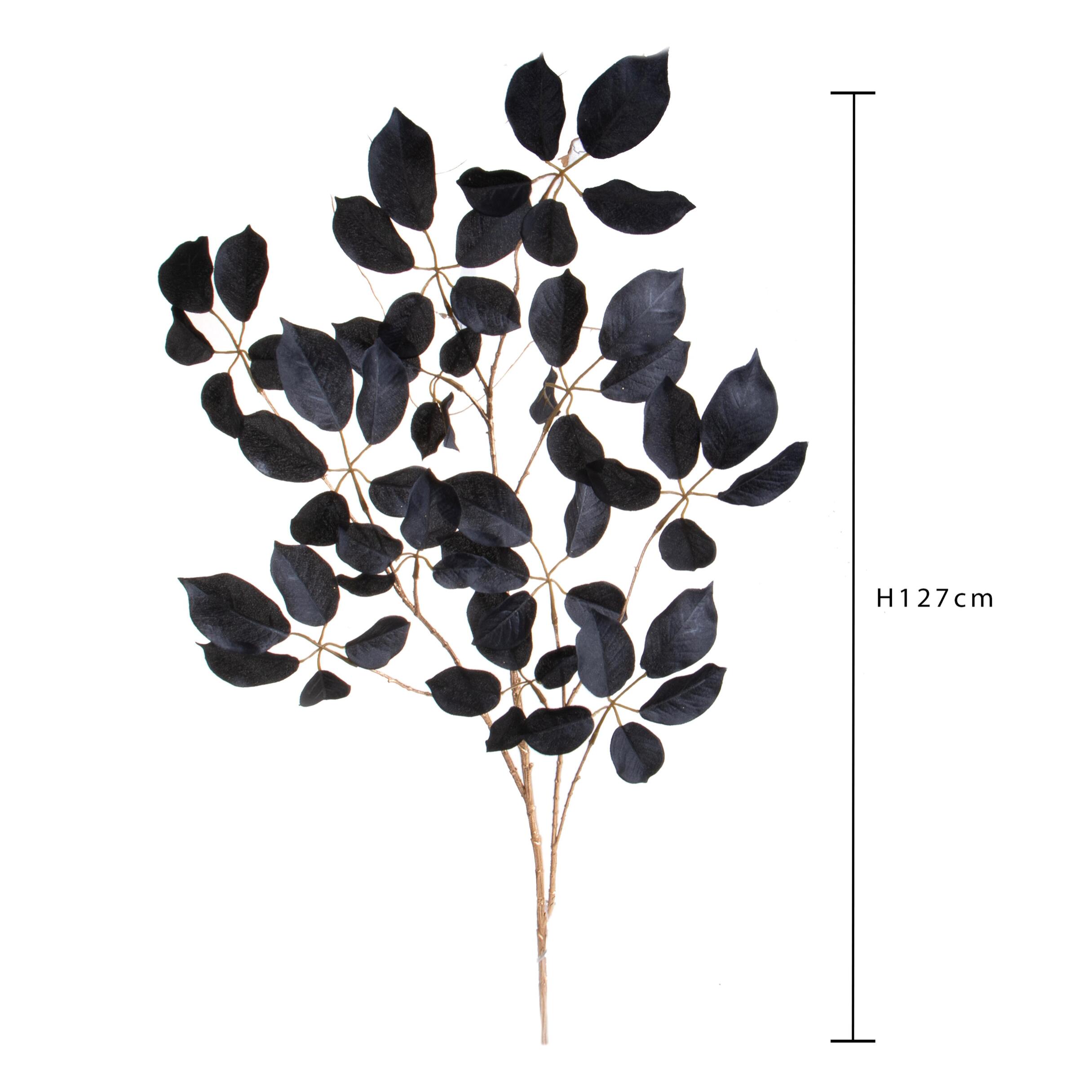 Faggio ramo - Pezzi 6 - 21xH123x0,5cm - Bianchi Dino SpA