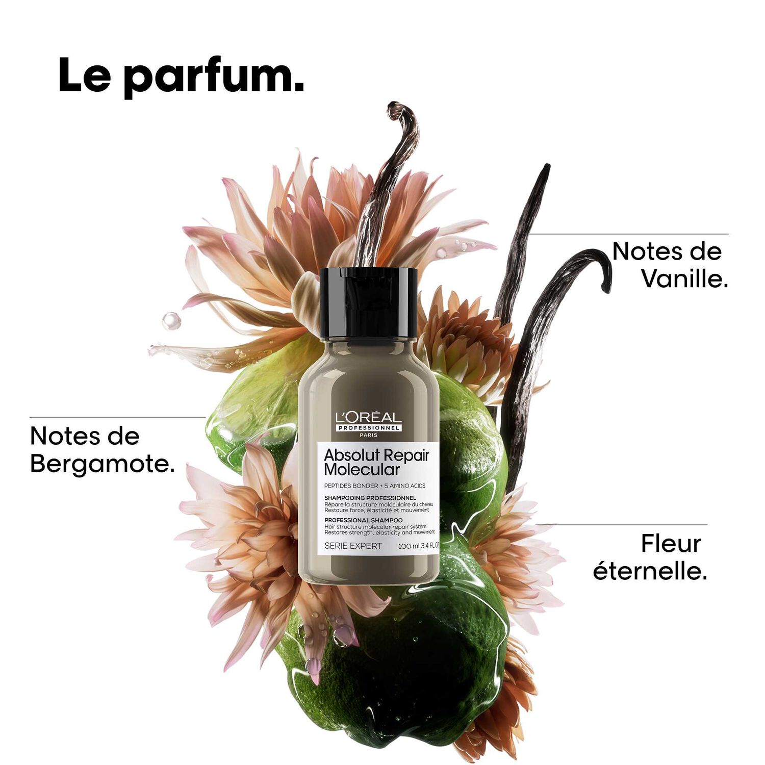 Absolut Repair Molecular - Shampooing Réparateur pour Tous Types de Cheveux Abîmés 100 ml