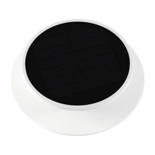 Balise solaire à piquer SOLIA SPIKE D16CM