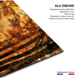 Tableau magie de l' automne Tableau alu Dibond