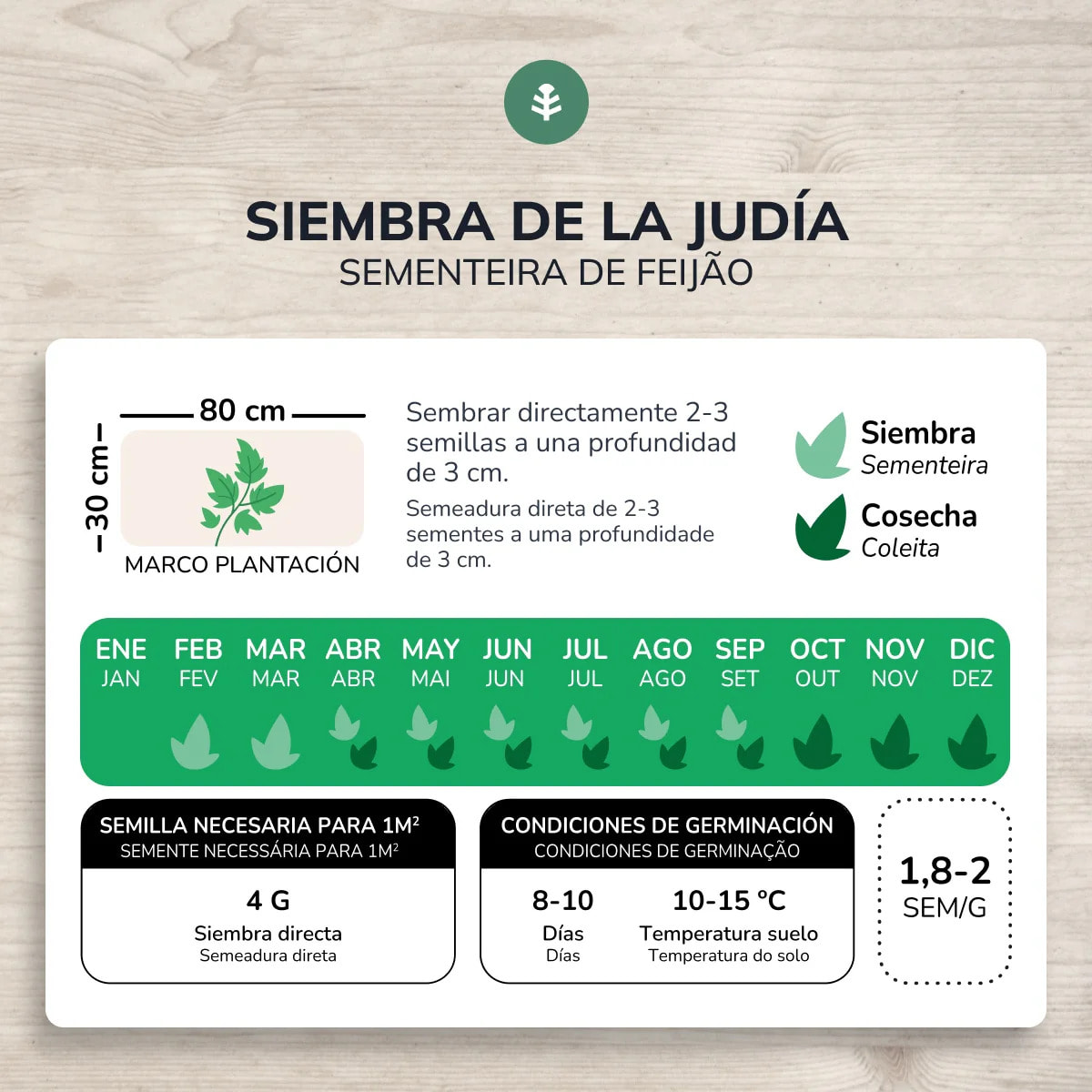 Semillas de Judía enrame helda ecológicas Planeta Huerto