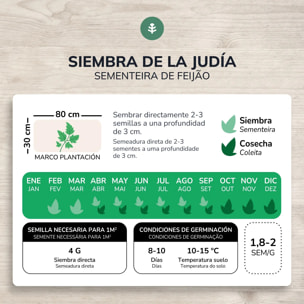Semillas de Judía enrame helda ecológicas Planeta Huerto