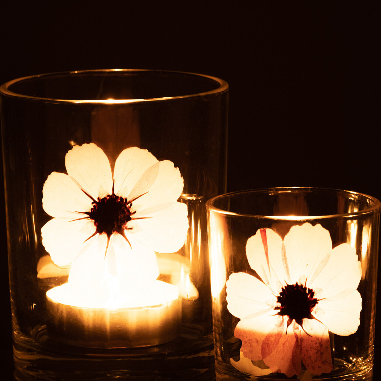 J-Line photophore Fleur - verre - rose/mix