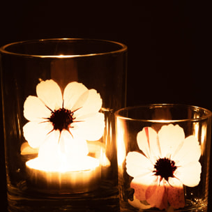 J-Line photophore Fleur - verre - rose/mix