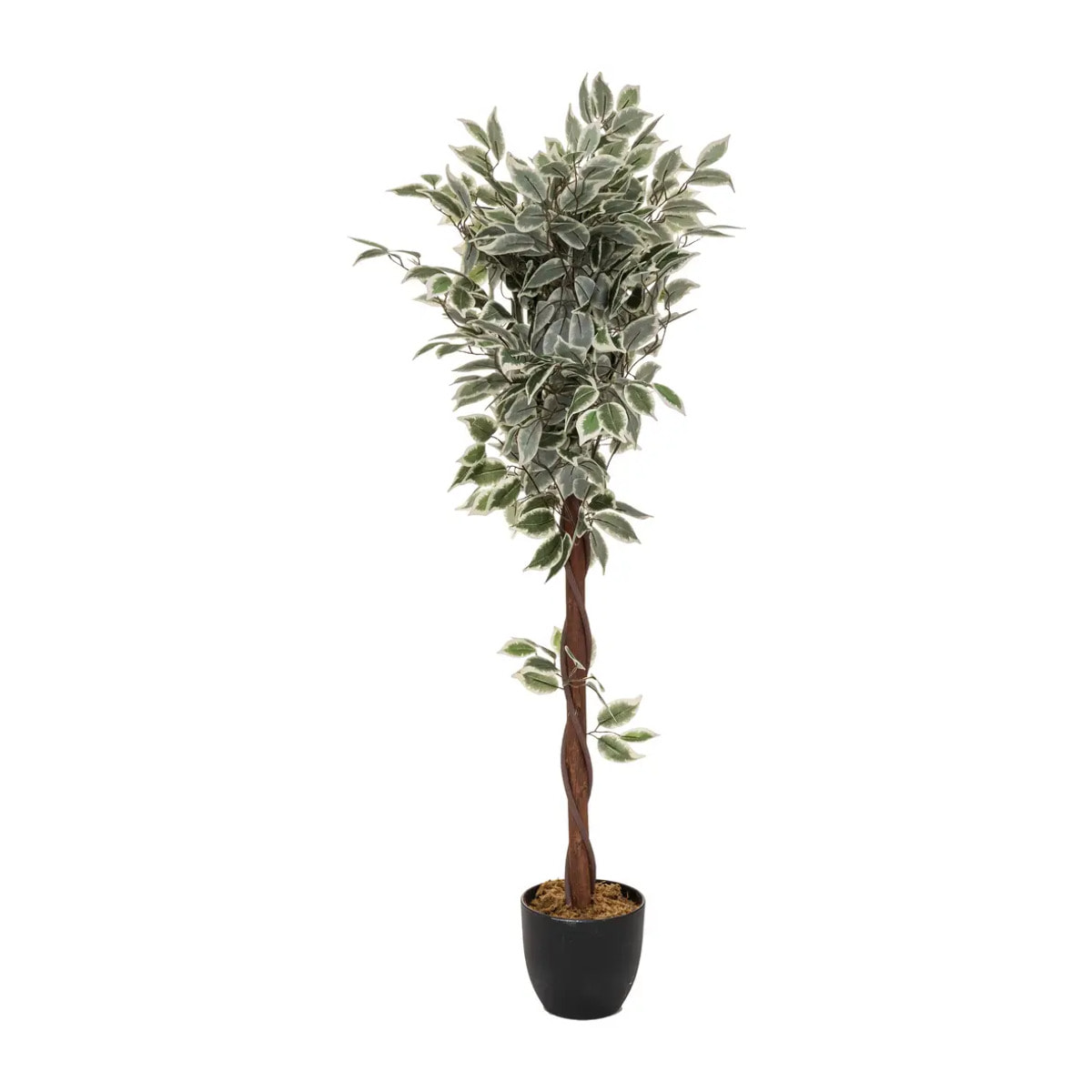 Ficus artificiel "Artifices" H120 cm