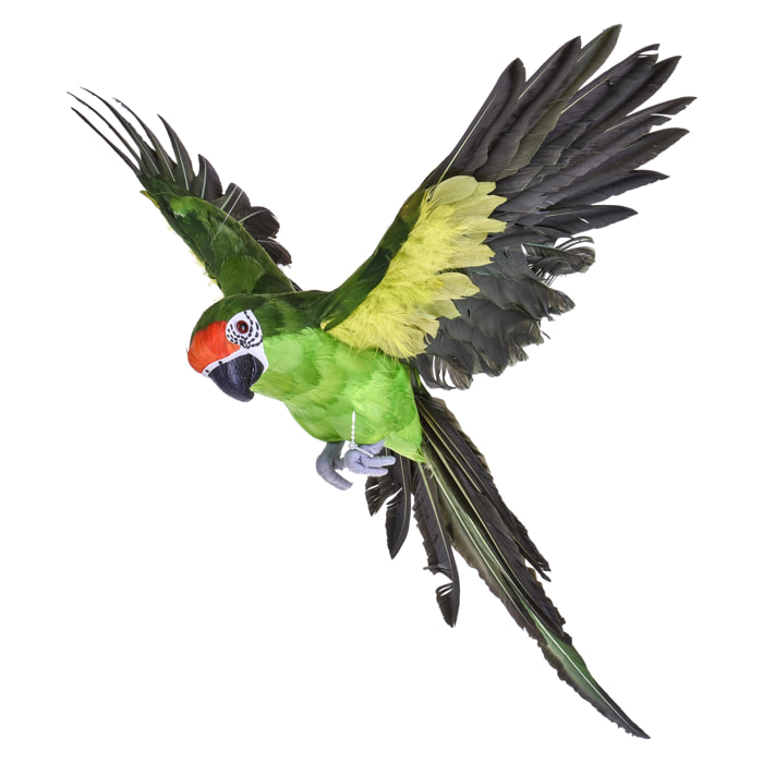 Pappagallo con ali aperte - Pezzi 1 - 75X75X30 - Colore: Verde - Bianchi Dino - Articoli Primaverili E Pasquali