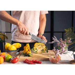 Set Completo de Cuchillos (6 piezas) - Colección Pakka San-Mai