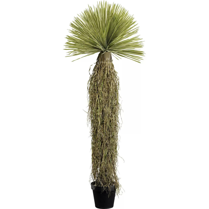 Plante décorative Yucca 180cm Kare Design